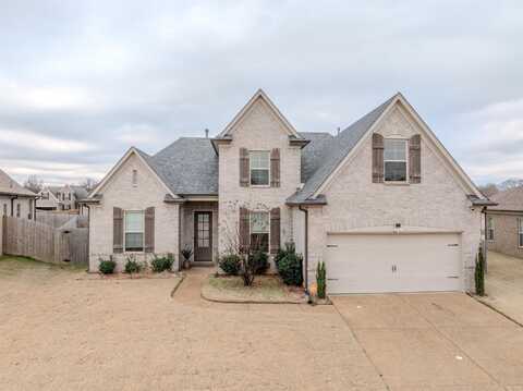 2289 WELLSPRING, Cordova, TN 38016