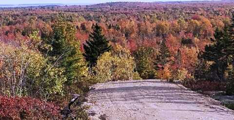 Lot 3 W. McMann & Porcupine Hill Road, Addison, ME 04606