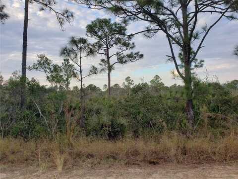 602 BOTTLEBRUSH AVENUE, LAKE PLACID, FL 33852