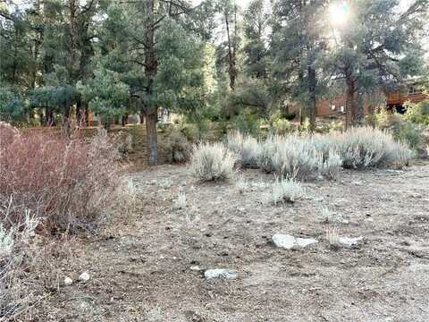 15500 Mil Potrero Hwy, Pine Mountain Club, CA 93222