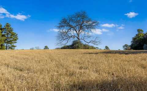 Tbd Pr 1315, Centerville, TX 75852