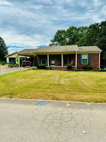 115 Massey Ave, Hollow Rock, TN 38342