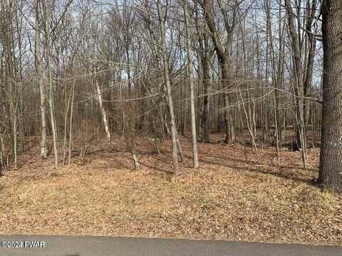 Lot 260 Reid Road, Lake Ariel, PA 18436