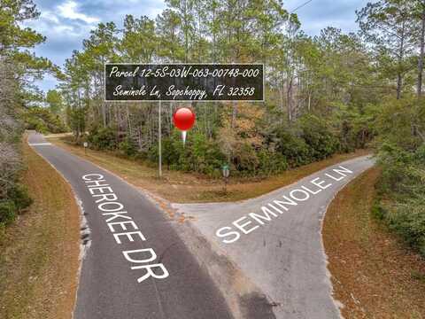 Seminole Lane, Sopchoppy, FL 32358