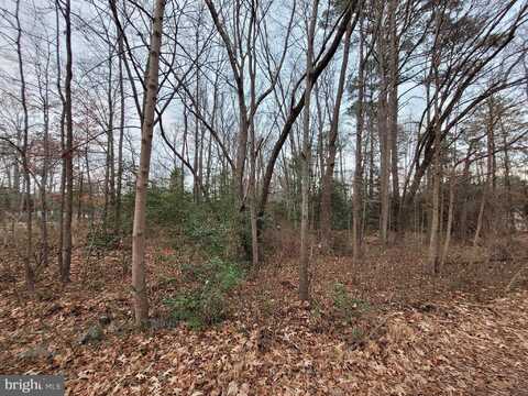 Lot 14 FOREST GROVE RD, COLONIAL BEACH, VA 22443