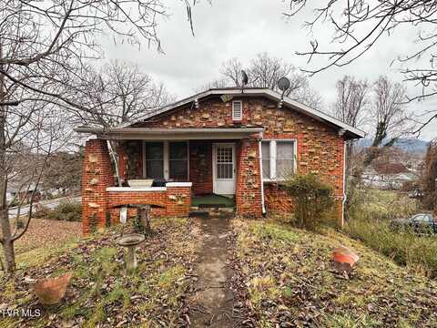 303 West 9th Avenue, Johnson City, TN 37604