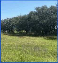 Tr 7 Private Road, Refugio, TX 78377