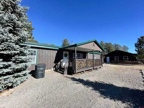 180 Spruce, South Fork, CO 81154