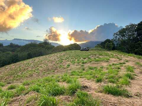 HAUIKI RD, Kapaa, HI 96746