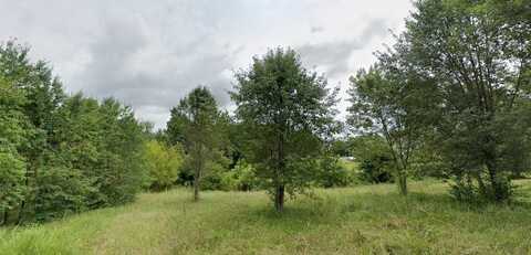 9999 Lot# 19 Catalpa Court, London, KY 40744