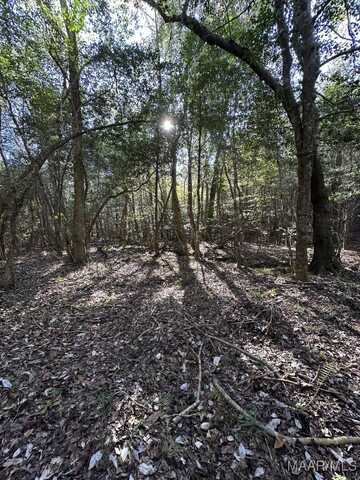 80 County Road 27 Road, Clayton, AL 36016