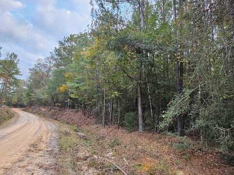 0 County Road 329, Jack, AL 36346