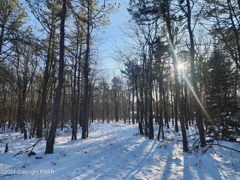 Lot EV481 Masters Trl, Albrightsville, PA 18210