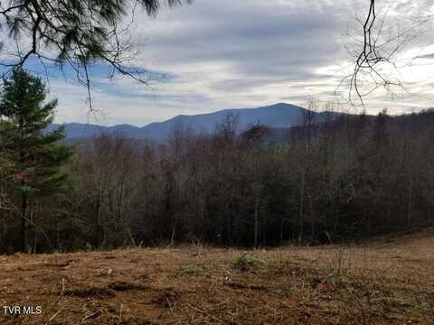 Tbd Bear Branch Road, Roan Mountain, TN 37687