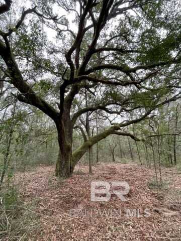 9847 S County Road 99, Lillian, AL 36549