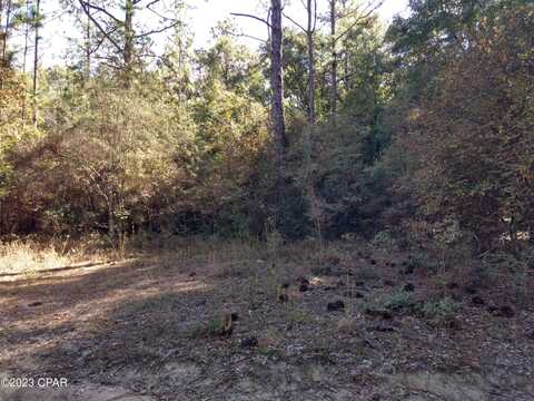 0 Little John Lane, Bonifay, FL 32425