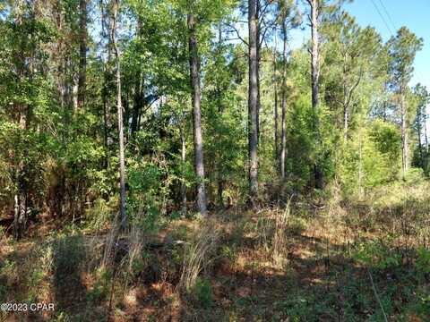 Tbd Little John Lane, Bonifay, FL 32425