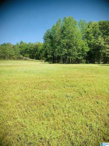 3475 COUNTY ROAD 29, HEFLIN, AL 36264