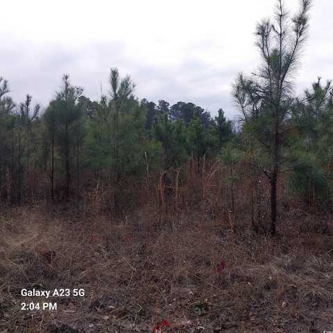 Lot 9 Tooge Hayes Rd., Mullins, SC 29574