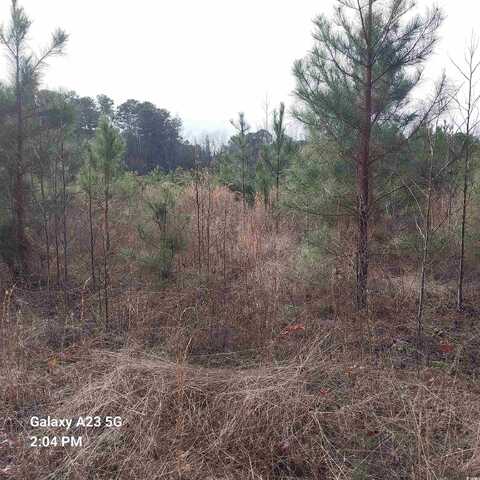 Lot 5 Tooge Hayes Rd., Mullins, SC 29574