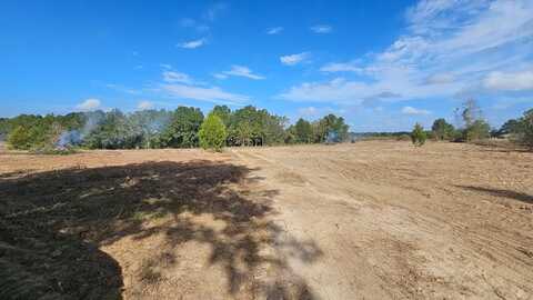 19 Acres County Road 67, Midland City, AL 36350