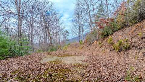 Lot 5 Cliff View Drive, Otto, NC 28763