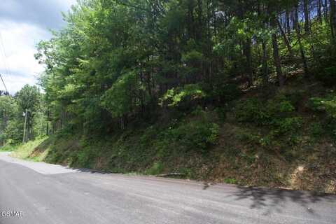 3276 Emerald Springs Loop, Sevierville, TN 37862