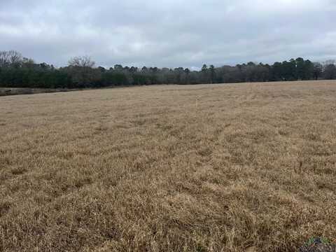 Tbd HOLLY RD, Gilmer, TX 75644