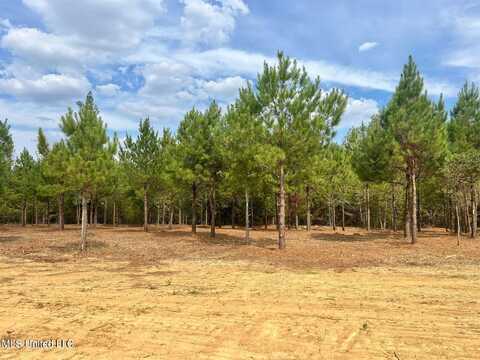 Stout Farms Drive, Madison, MS 39110