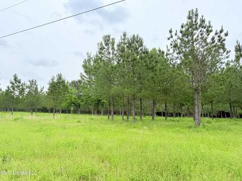 Stout Farms Drive, Madison, MS 39110