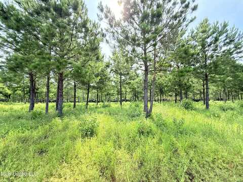 Stout Farms Drive, Madison, MS 39110