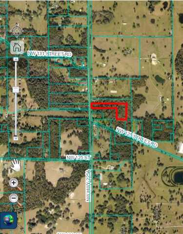 225A, REDDICK, FL 32686