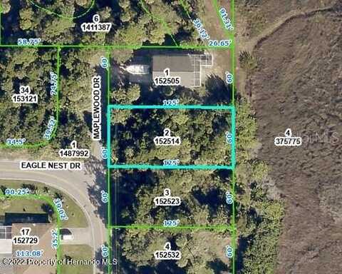 5082 MAPLEWOOD DRIVE, HERNANDO BEACH, FL 34607