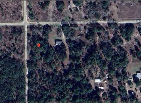 SE 71ST PLACE, MORRISTON, FL 32668