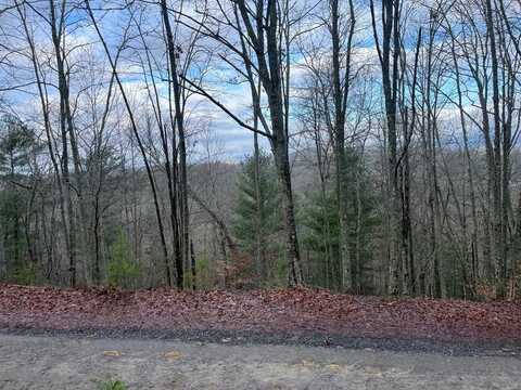 1033 Cardinal Road, MURPHY, NC 28906
