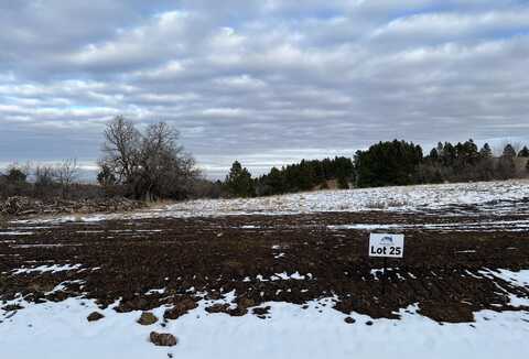 tbd Lot 25 Prairie View Road, Whitewood, SD 57793