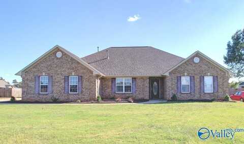 16874 Raspberry Lane, Athens, AL 35613