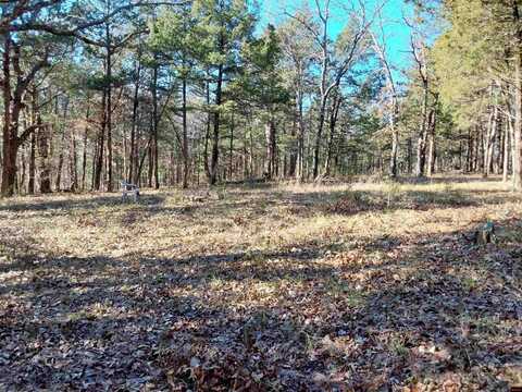 Lot 1-4 MC 131, Oakland, AR 72661