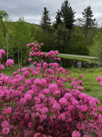24 Antler Loop, Dover, VT 05356
