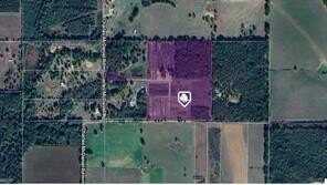 31.24 Acres CHARLES MCDANIEL Road, Kentwood, LA 70444