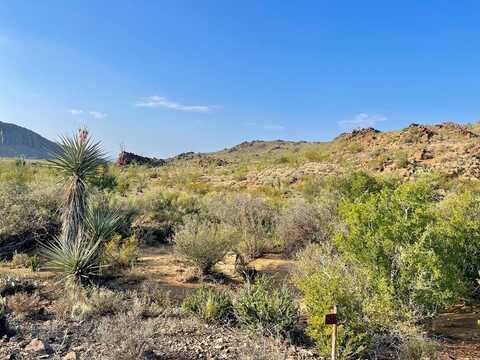 TR 1501 S Hwy 118, Terlingua, TX 79852
