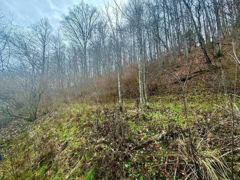 6900 Wallback Road, Wallback, WV 25285