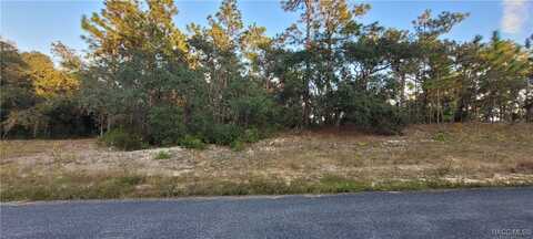 11373 N Kenney Loop, Citrus Springs, FL 34434