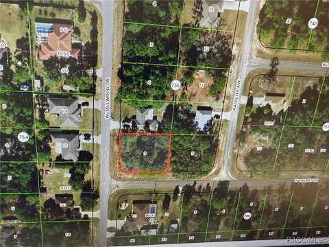 7111 N Tallwood Drive, Citrus Springs, FL 34434