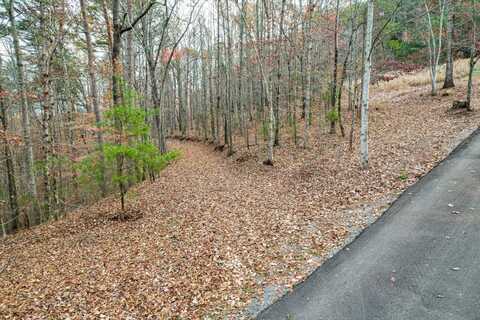 25 Acres County Road 758, Riceville, TN 37370