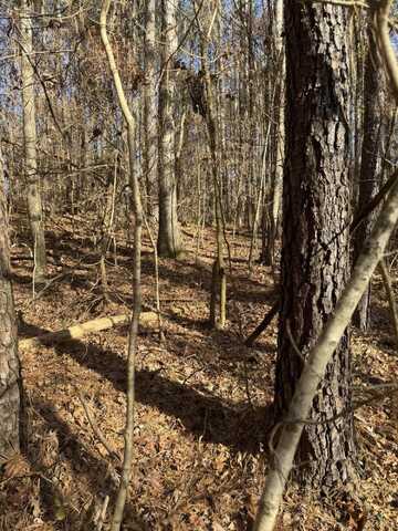 5 Ac Bates Pike, Old Fort, TN 37362