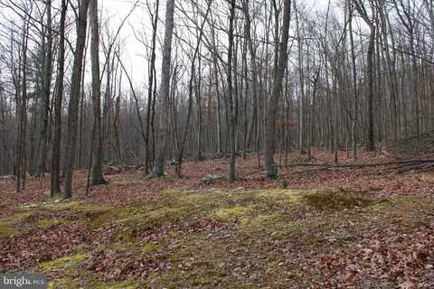 14.29 AC WHISPERING PINES ROAD, SLANESVILLE, WV 25444