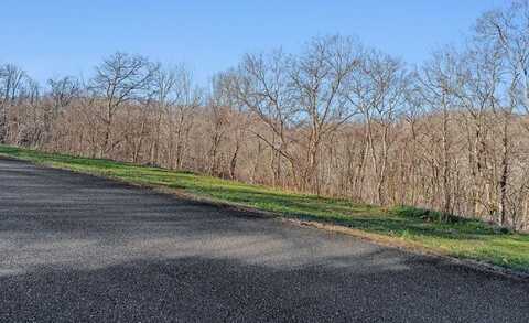 Williamson Cir - Lot 48, SMITHVILLE, TN 37166