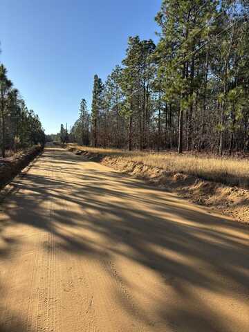 Tbd Whitetail Drive, Williston, SC 29853