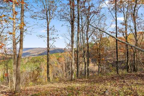 0 Big View Road, Guild, TN 37340